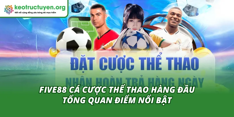 Giới thiệu sơ lược về cá cược thể thao đẳng cấp 