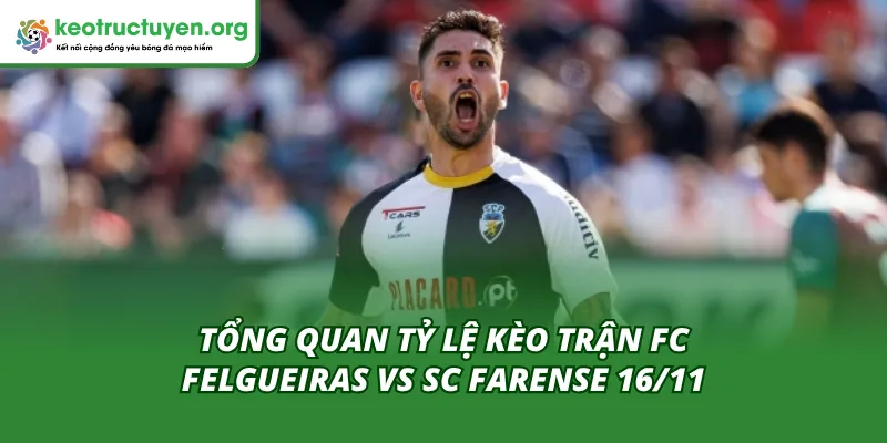 Tỷ lệ kèo trận FC Felgueiras vs SC Farense 16/11 mới nhất