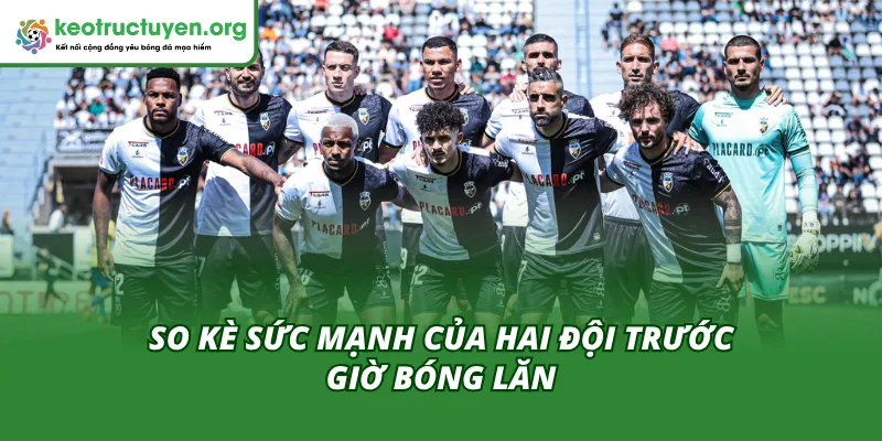 Phong độ và lực lượng giữa FC Felgueiras và SC Farense