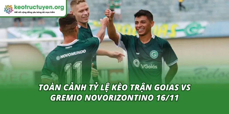 Tìm hiểu tỷ lệ kèo trận Goias vs Gremio Novorizontino 16/11