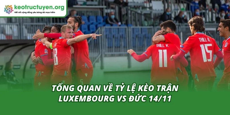 Toàn cảnh tỷ lệ kèo trận Luxembourg vs Đức 14/11