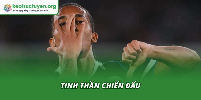 Tinh thần của Joao Pedro tái hiện hình bóng Diego Costa