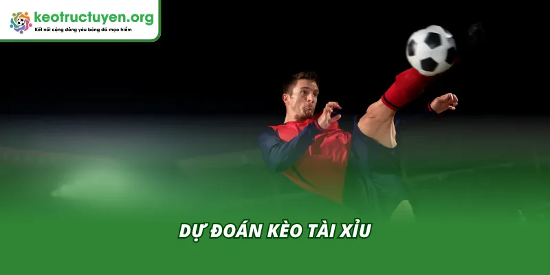 Chuyên gia nhận định kèo Tài Xỉu trong trận Southampton VS Blackburn Rovers 15/04